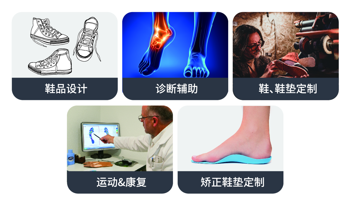 贝博艾弗森体育网页版